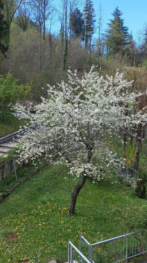Iremia Lama Mocogno Bagian luar foto